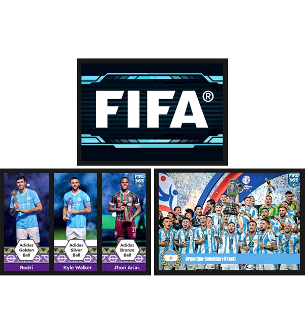 Panini FIFA 365 2025 Stickers Album + 3 Boxes (=150 Packets), Stickerpoint